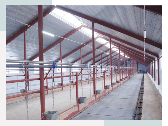 Строительство коровников в Борисоглебске от 624 руб.