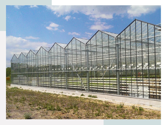 Строительство теплиц в Борисоглебск от 624 руб. за м²